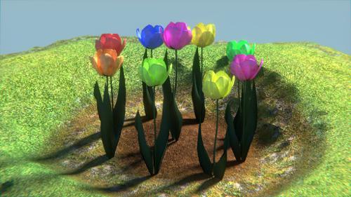 randomly colored tulips preview image